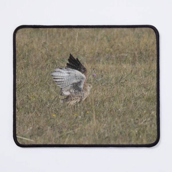 Item preview, Frozen reality - Beautiful nature 1020 designed and sold by deep-sea-birds.