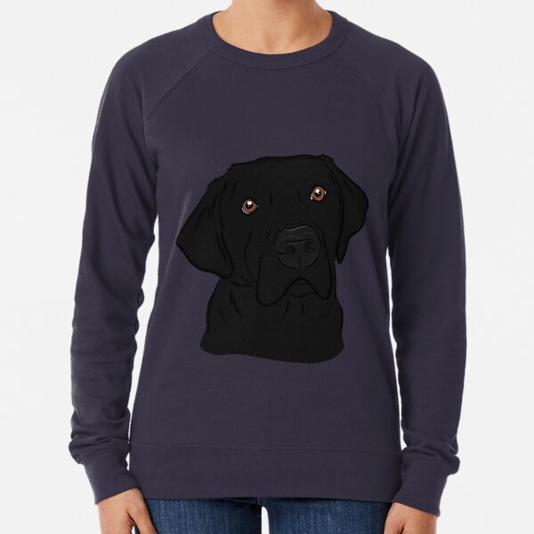 labrador jumpers