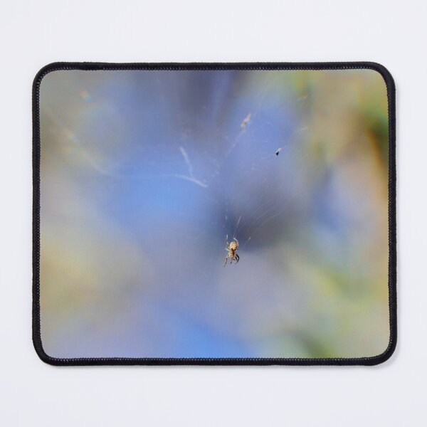 Item preview, Spider in a Web 2 designed and sold by Jodie Cooper.