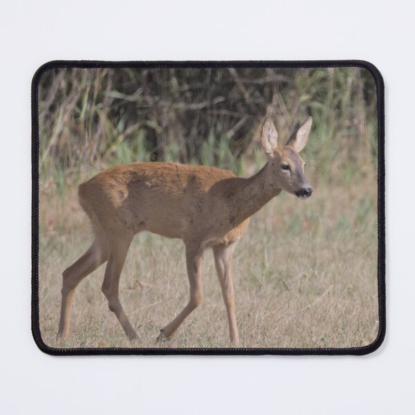 Item preview, Frozen reality - Beautiful nature 1030 designed and sold by deep-sea-birds.