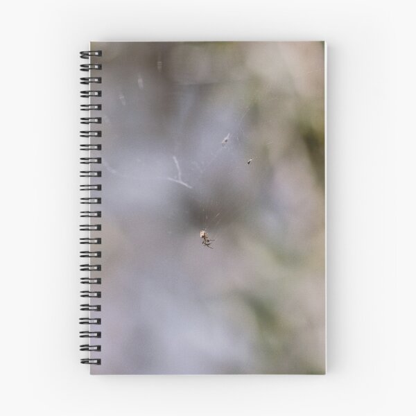 Item preview, Spider in a Web 3 designed and sold by Jodie Cooper.