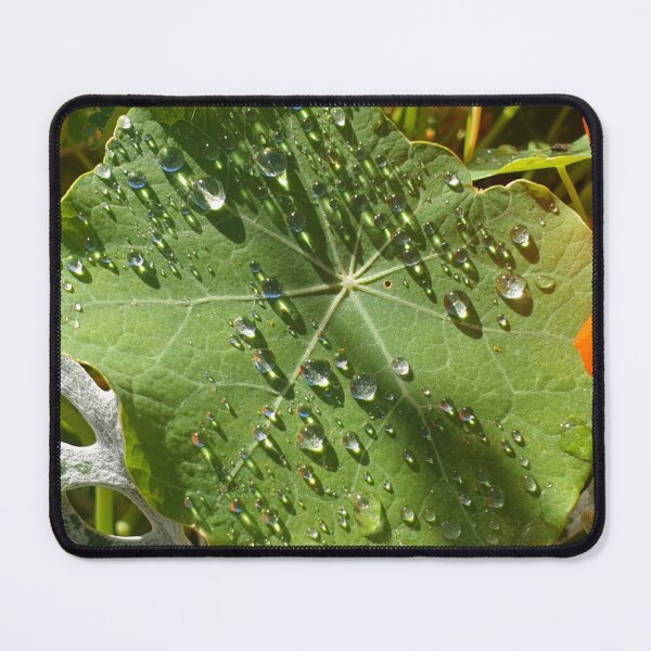 Item preview, Morning Dew designed and sold by amanda150771.