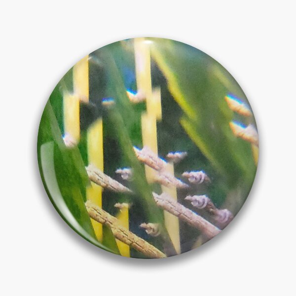 Item preview, Emerald Sanctuary: Feng Shui Wood Element & Growth designed and sold by ElionSolis.