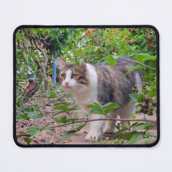 Item preview, Gato explorando el jardín designed and sold by MB-CatPrints.