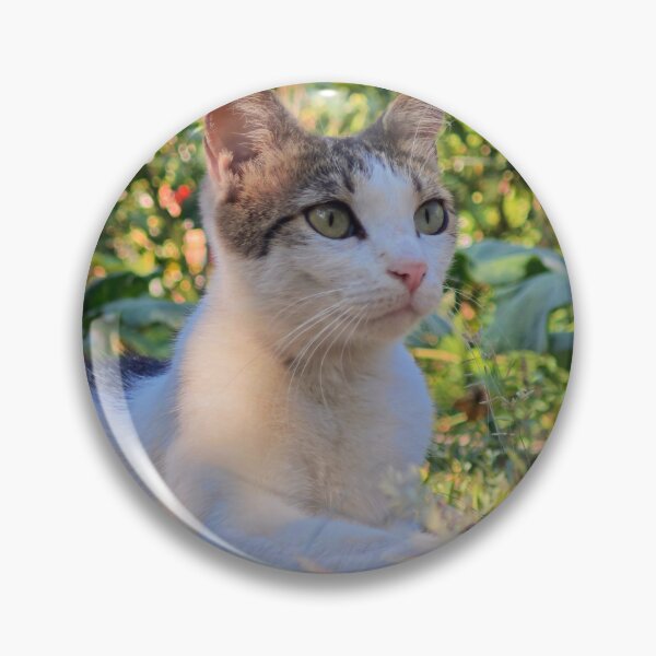 Item preview, Cat Relaxing in the Garden designed and sold by MB-CatPrints.