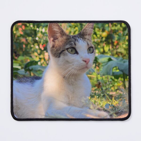 Item preview, Cat Relaxing in the Garden designed and sold by MB-CatPrints.
