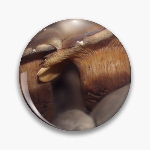 Item preview, Fraternal Fungi designed and sold by Wayne King.