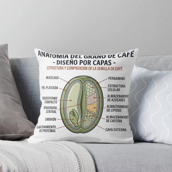 Item preview, Anatomy of the coffee bean designed and sold by Cafetera Moka Italiana.