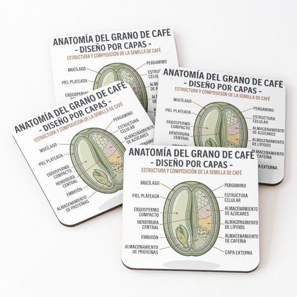 Item preview, Anatomy of the coffee bean designed and sold by dehosteleria.