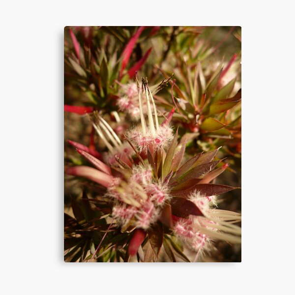 Item preview, Gariwerd Flowers 1 designed and sold by beeden.