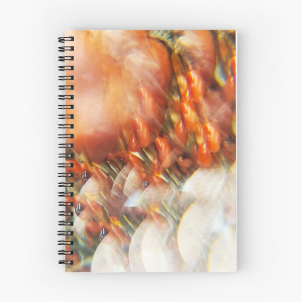 Item preview, Enchanted Harvest: Season of Color designed and sold by ElionSolis.