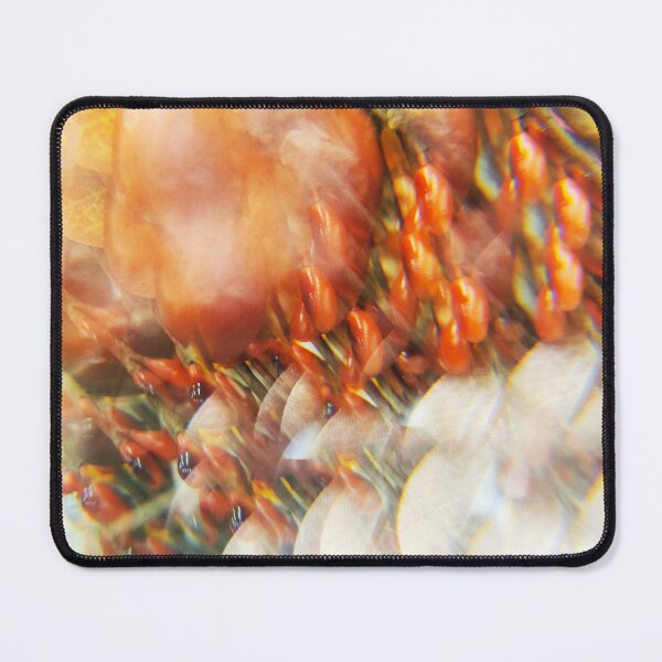 Item preview, Enchanted Harvest: Season of Color designed and sold by ElionSolis.