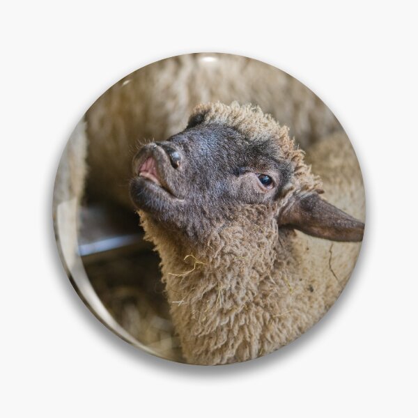 Item preview, Funny Cute Sheep with Cheerful Expression Farm Animal designed and sold by Rogi74.
