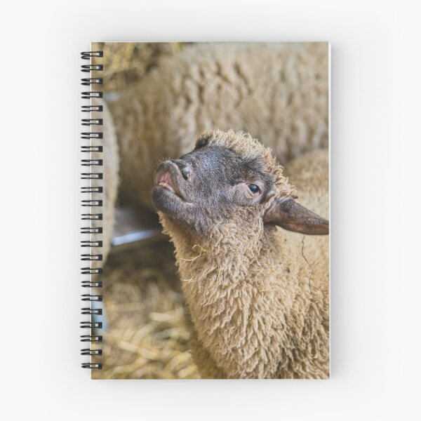 Item preview, Funny Cute Sheep with Cheerful Expression Farm Animal designed and sold by Rogi74.