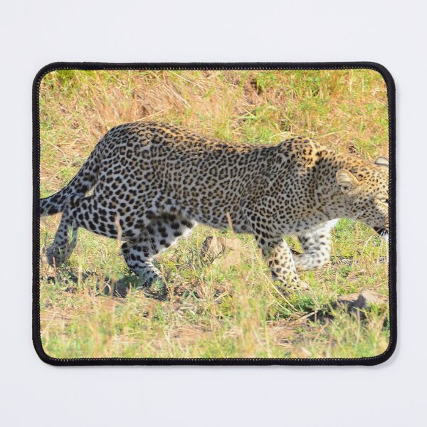 Item preview, Stalking Leopard designed and sold by Tom Wurl.