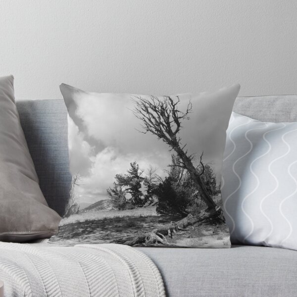 Item preview, Mountain Twins designed and sold by Robert Ball.
