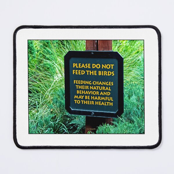 Item preview, Bay Lake, Florida, August 29, 2026, Park Sign, Please Do Not Feed the Birds designed and sold by AMacGPhilly.