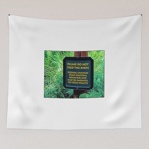 Item preview, Bay Lake, Florida, August 29, 2026, Park Sign, Please Do Not Feed the Birds designed and sold by AMacGPhilly.