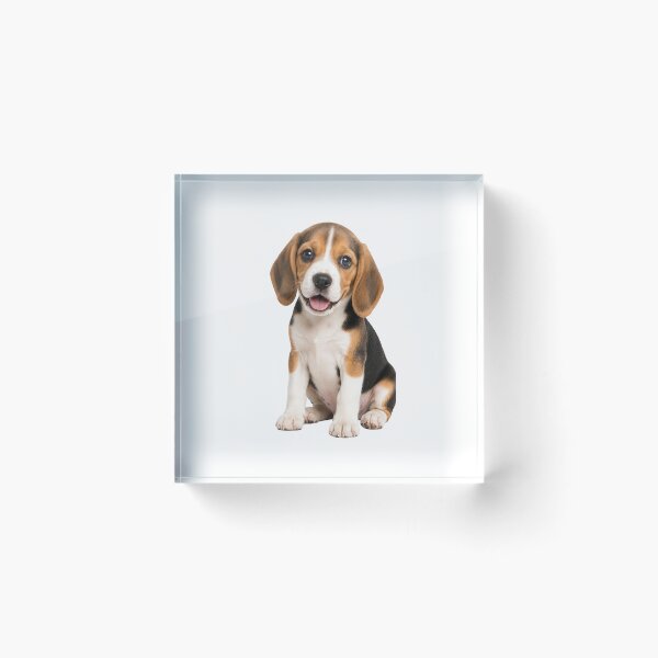 Item preview, Beagle Puppy designed and sold by BackgroundND.