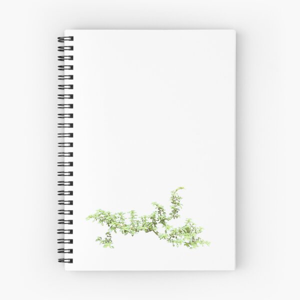 Item preview, Pilea microphylla plant branch designed and sold by pipikijung.