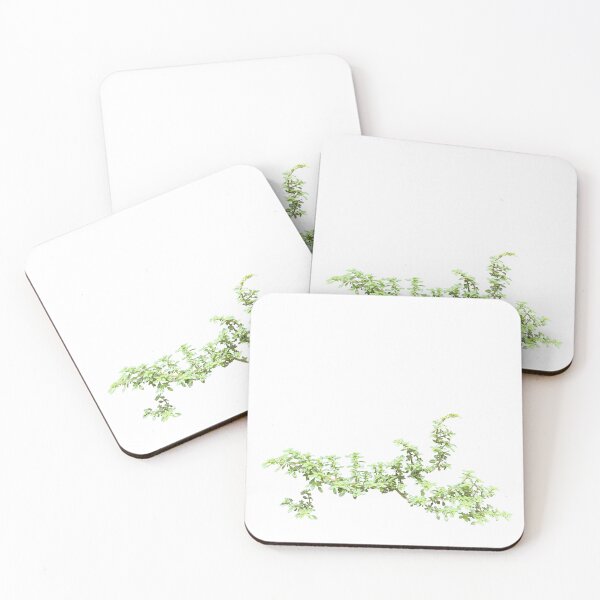 Item preview, Pilea microphylla plant branch designed and sold by pipikijung.