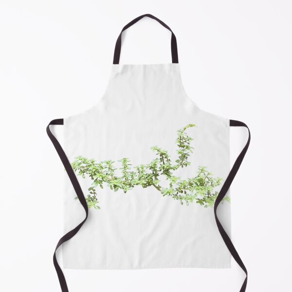 Item preview, Pilea microphylla plant branch designed and sold by pipikijung.