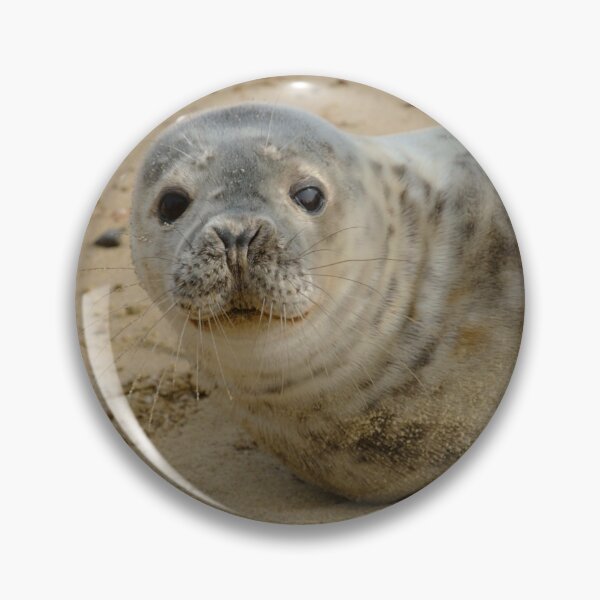 Item preview, Grey Seal Pup designed and sold by Lawrence Woolston.