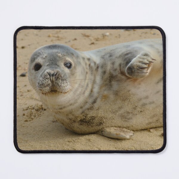 Item preview, Grey Seal Pup designed and sold by Lawrence Woolston.
