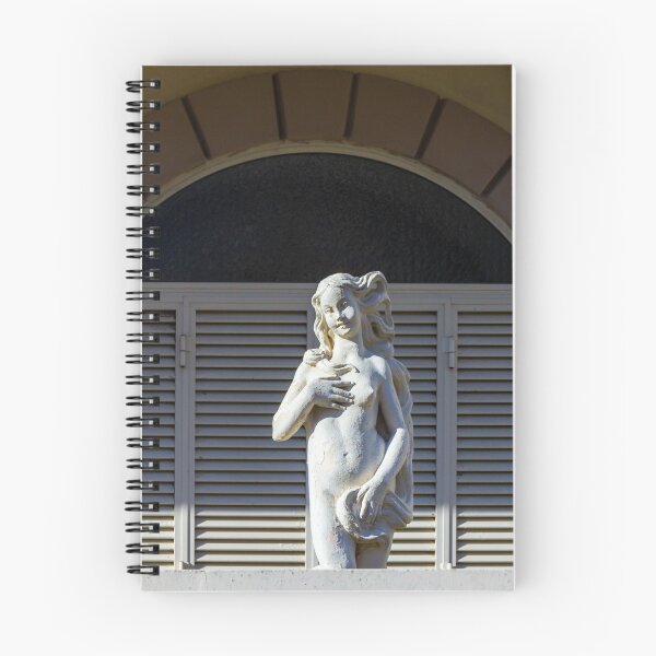 Item preview, Statue Of A Nude Female Figure Standing In Front Of Shuttered Window Under Archway designed and sold by Nmallia.