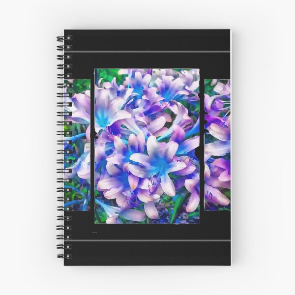 Artikelvorschau, Triptychon mit blauen Lilien vor schwarzem Hintergrund entworfen und verkauft von Bonnie's Playground.
