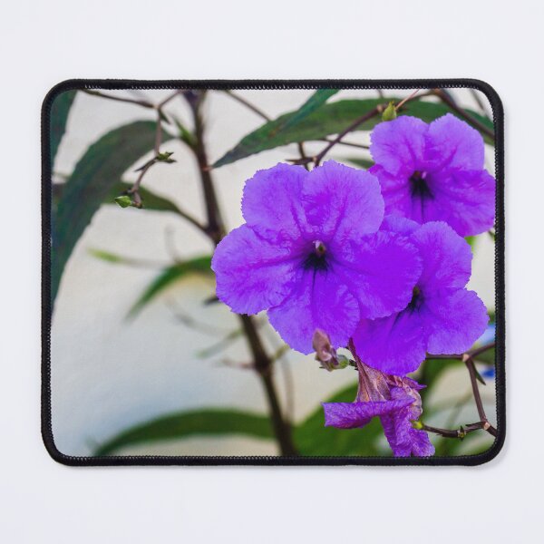 Item preview, Vibrant Purple Flowers in a Garden Setting with Green Leaves and Delicate Stems designed and sold by Nmallia.