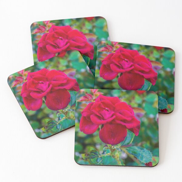 Item preview, Vibrant Red Rose in Focus With Buds and Lush Green Foliage in Garden Setting designed and sold by Nmallia.