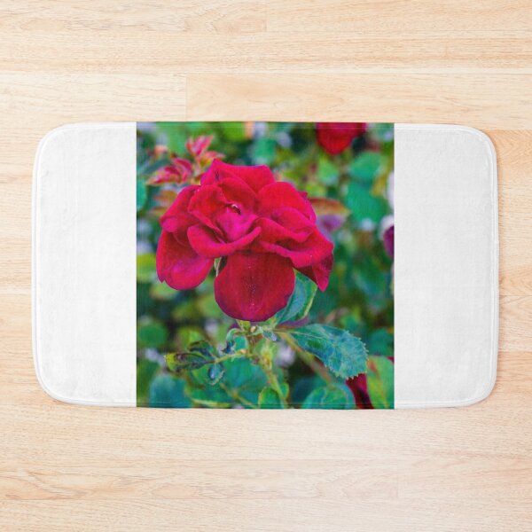 Item preview, Vibrant Red Rose in Focus With Buds and Lush Green Foliage in Garden Setting designed and sold by Nmallia.