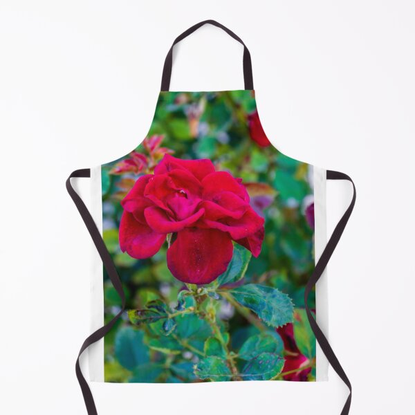 Item preview, Vibrant Red Rose in Focus With Buds and Lush Green Foliage in Garden Setting designed and sold by Nmallia.