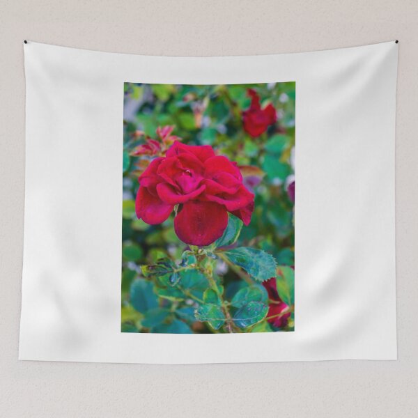Item preview, Vibrant Red Rose in Focus With Buds and Lush Green Foliage in Garden Setting designed and sold by Nmallia.