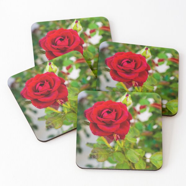 Item preview, Vibrant Red Rose in Focus With Buds and Lush Green Foliage in Garden Setting designed and sold by Nmallia.