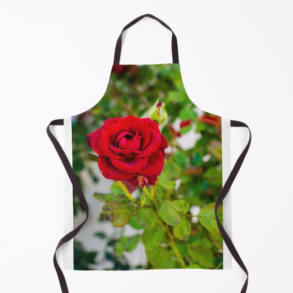 Item preview, Vibrant Red Rose in Focus With Buds and Lush Green Foliage in Garden Setting designed and sold by Nmallia.