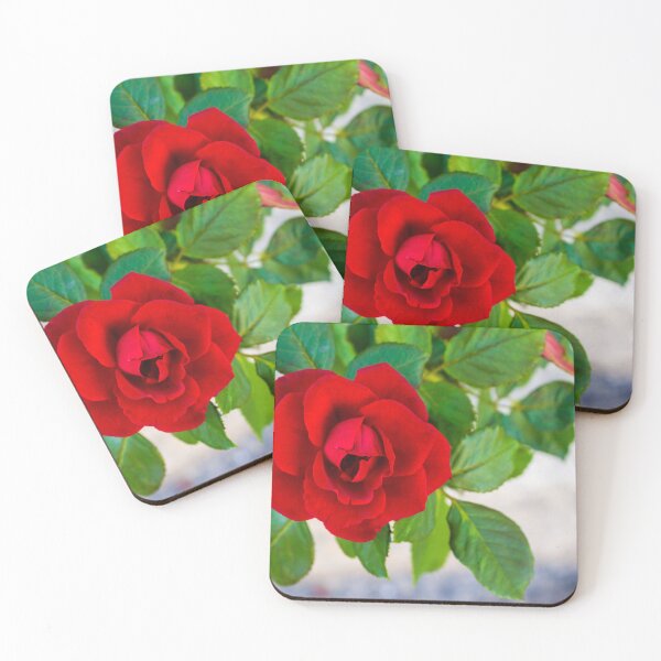 Item preview, Vibrant Red Rose in Focus With Buds and Lush Green Foliage in Garden Setting designed and sold by Nmallia.