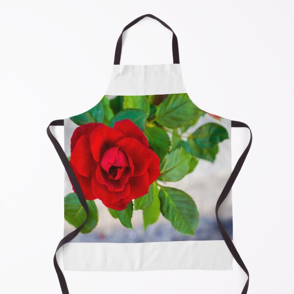 Item preview, Vibrant Red Rose in Focus With Buds and Lush Green Foliage in Garden Setting designed and sold by Nmallia.