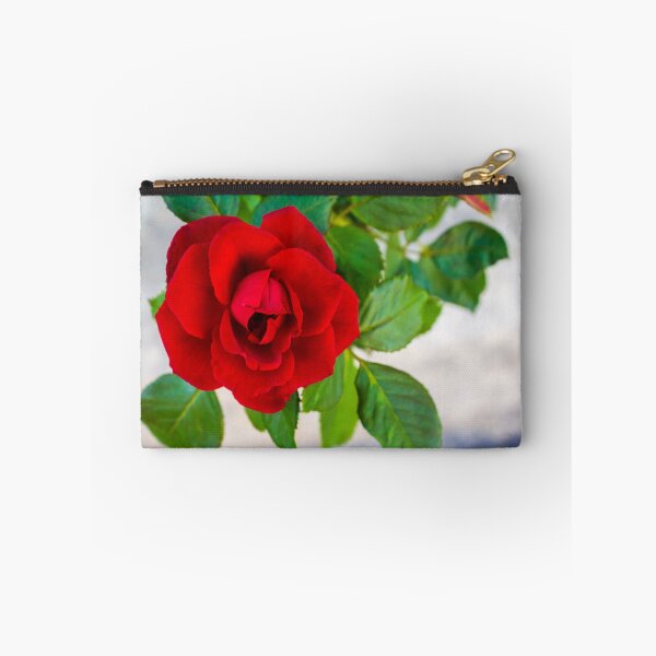 Item preview, Vibrant Red Rose in Focus With Buds and Lush Green Foliage in Garden Setting designed and sold by Nmallia.