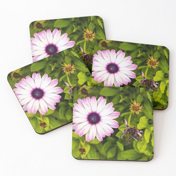 Item preview, Pink White Daisy With Purple Center In Green Garden Bed, Fresh Bloom And Lush Leaves designed and sold by Nmallia.