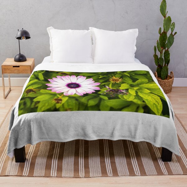 Item preview, Pink White Daisy With Purple Center In Green Garden Bed, Fresh Bloom And Lush Leaves designed and sold by Nmallia.