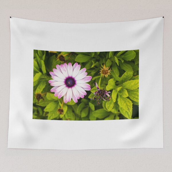 Item preview, Pink White Daisy With Purple Center In Green Garden Bed, Fresh Bloom And Lush Leaves designed and sold by Nmallia.