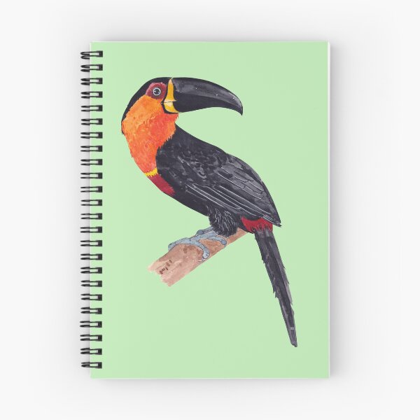 Item preview, CHANNEL BILLED TOUCAN-Ramphastos vitellinus ariel designed and sold by BEATRIZ ABAITUA.