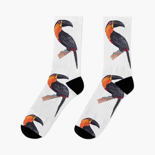 Item preview, CHANNEL BILLED TOUCAN-Ramphastos vitellinus ariel designed and sold by BEATRIZ ABAITUA.