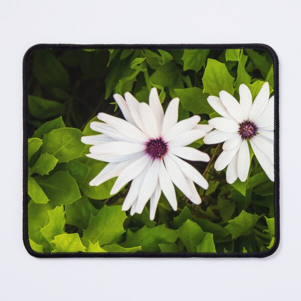 Item preview, White Daisies in Green Garden Foliage: Bright Bloom, Fresh Nature Scene designed and sold by Nmallia.