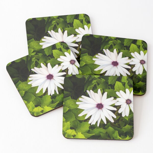 Item preview, White Daisies in Green Garden Foliage: Bright Bloom, Fresh Nature Scene designed and sold by Nmallia.