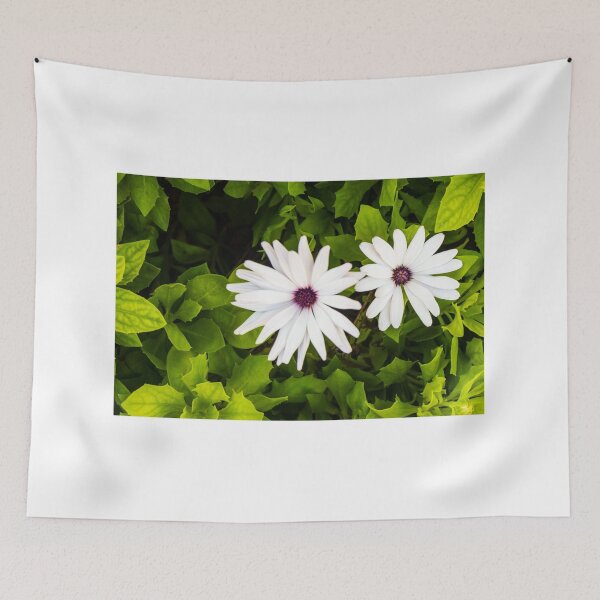 Item preview, White Daisies in Green Garden Foliage: Bright Bloom, Fresh Nature Scene designed and sold by Nmallia.
