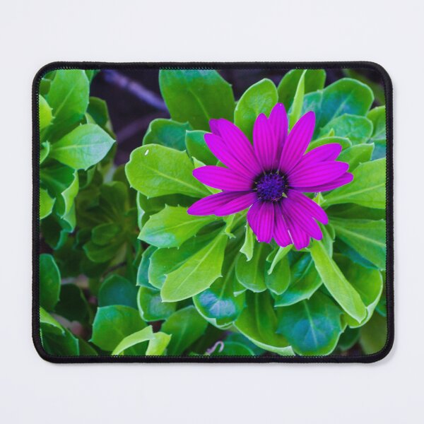 Item preview, Vivid Purple Flower With Lush Green Leaves in a Bright Garden Scene designed and sold by Nmallia.