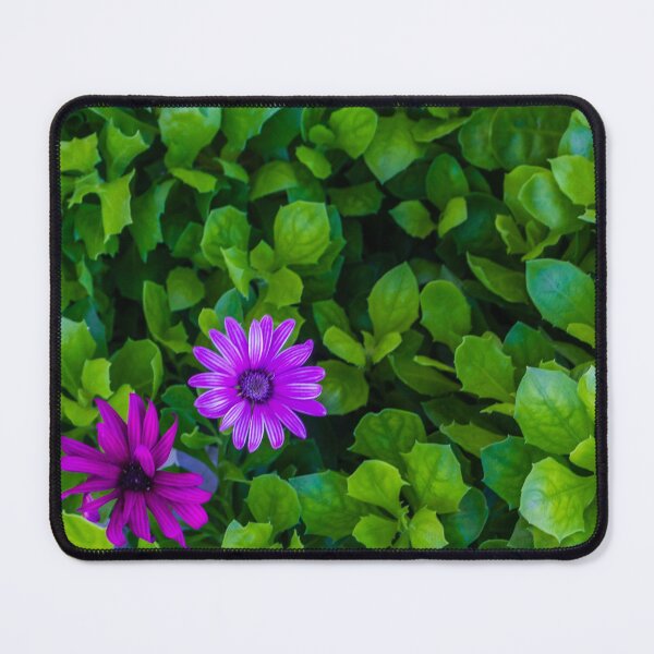 Item preview, Vibrant Purple Flowers Among Lush Green Leaves in a Bright Garden Scene designed and sold by Nmallia.